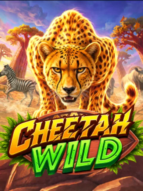Cheetah Wild